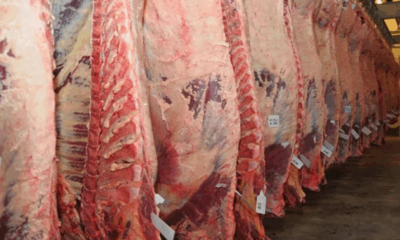 El ingreso de carne del norte reconfigura el mercado y el consumidor prioriza el precio