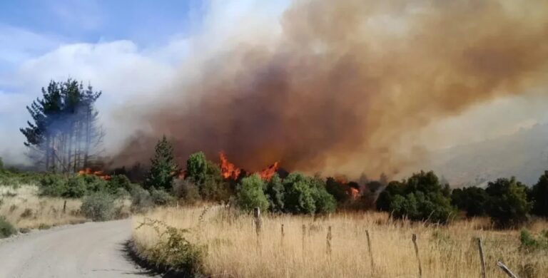 Vista del incendio en la zona de Nahuelpan, Chubut, enero de 2025